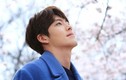 Sau thời gian điều trị ung thư, Kim Woo Bin giờ ra sao?